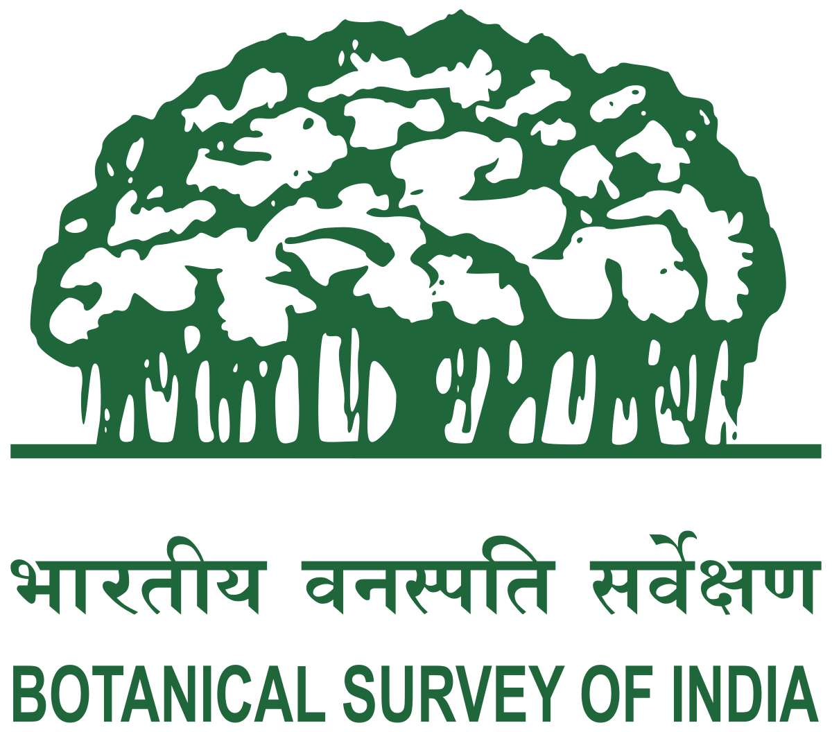 Virtual herbarium 